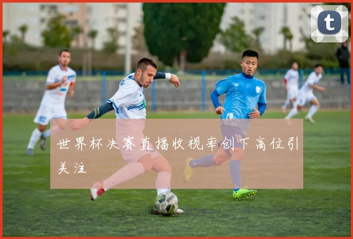世界杯决赛直播收视率创下高位引关注