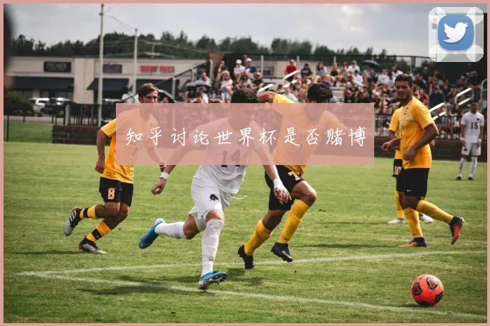 知乎讨论世界杯是否赌博
