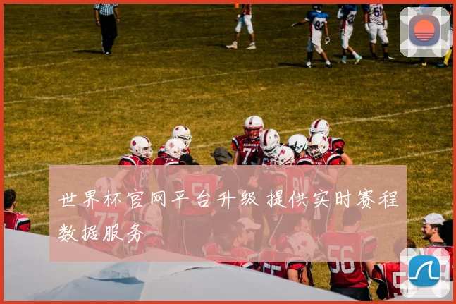 世界杯官网平台升级 提供实时赛程数据服务