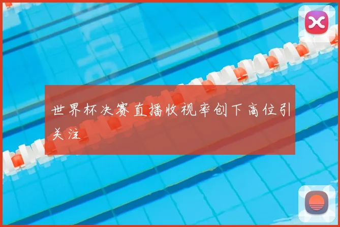 世界杯决赛直播收视率创下高位引关注