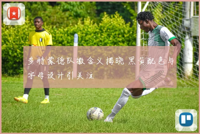 多特蒙德队徽含义揭晓 黑黄配色与字母设计引关注