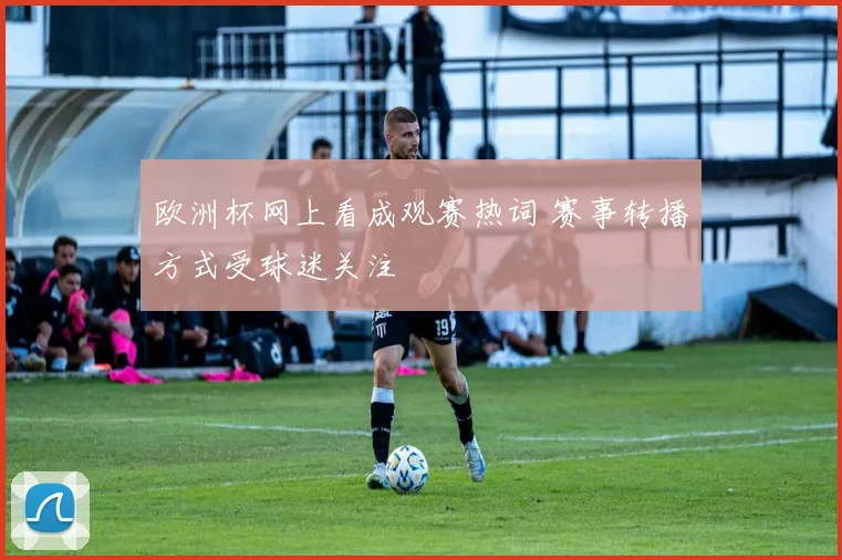 欧洲杯网上看成观赛热词 赛事转播方式受球迷关注