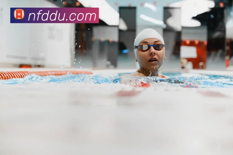 世界杯平台官网登录平台生态图